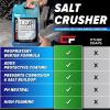 imageCarfidant Salt Crusher  Car Wash Soap for Salt and Grime Removal  Thick Snow Foam Formula  Prevents Corrosion Gently Cleanse and Eliminate Dirt  Shampoo Works with Foaming Cannon ampamp Bucket  128oz16 Fl Oz Pack of 1